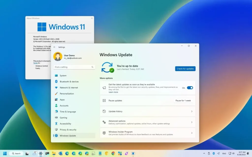 Windows 11